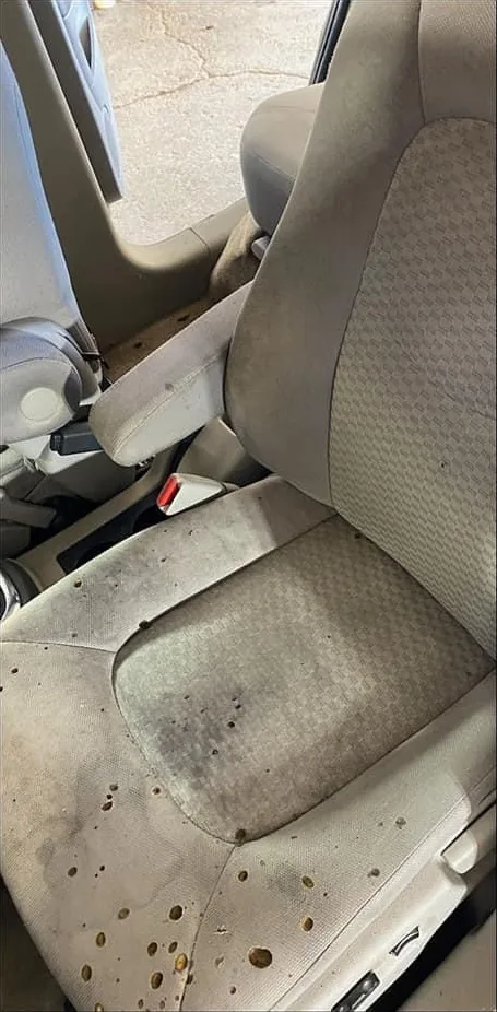Before: Stained leather seat